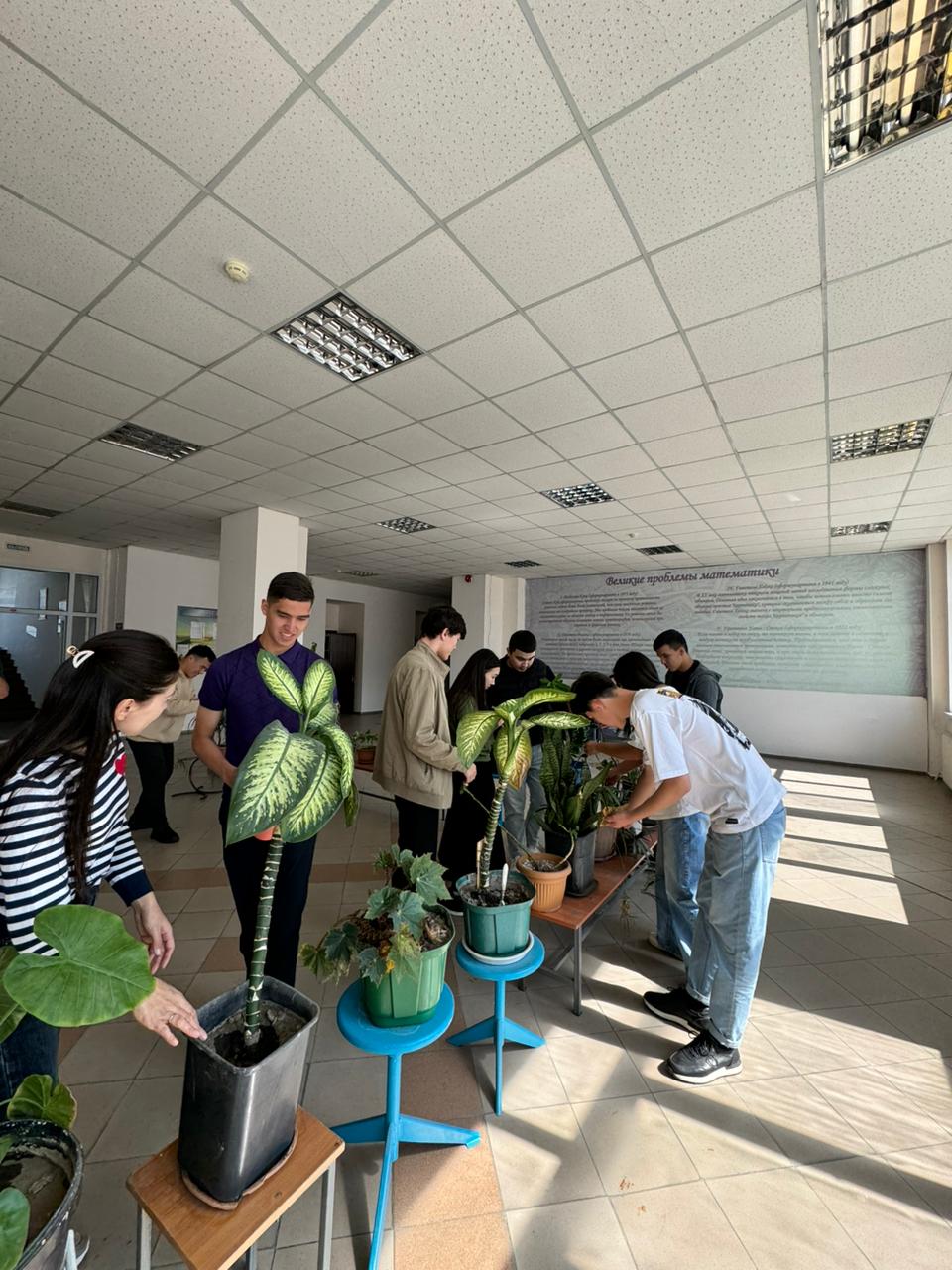 Сохранение наземных экосистем – акция по поддержанию чистоты окружающей среды